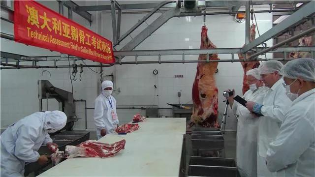 澳大利亚如何年薪百万,澳大利亚留学打工真实收入