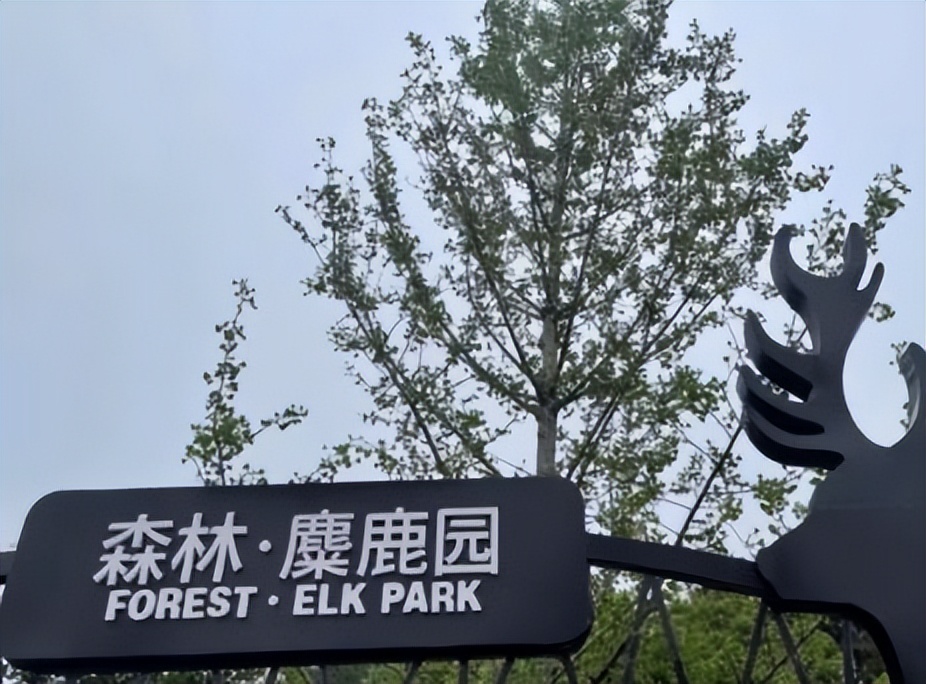 麋鹿园景区一日游攻略,中华麋鹿园自驾费用