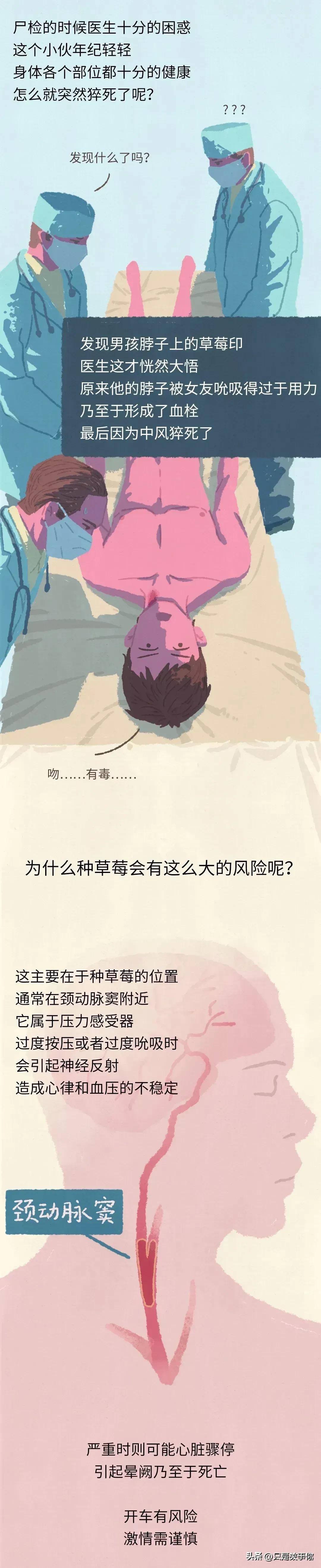 漫画里种草莓的人,漫画种草莓