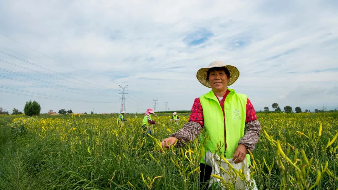 迎接党的20大美术作品,喜迎二十大乡村摄影展