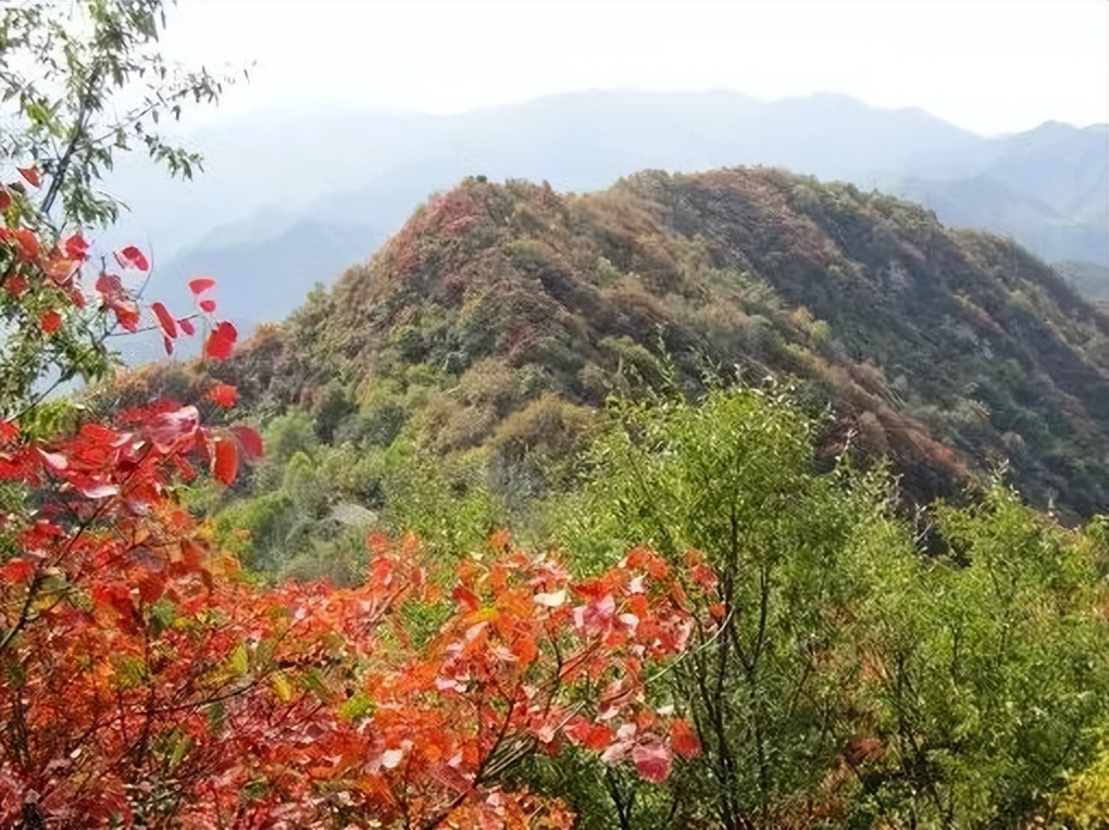 广州台山市二日游,台山川山群岛一日游