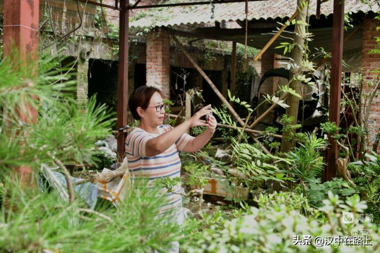 南峰心声,南峰情头