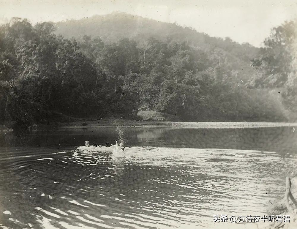 百年云南思茅城的历史记忆,百年前真实的清朝真实影像记录