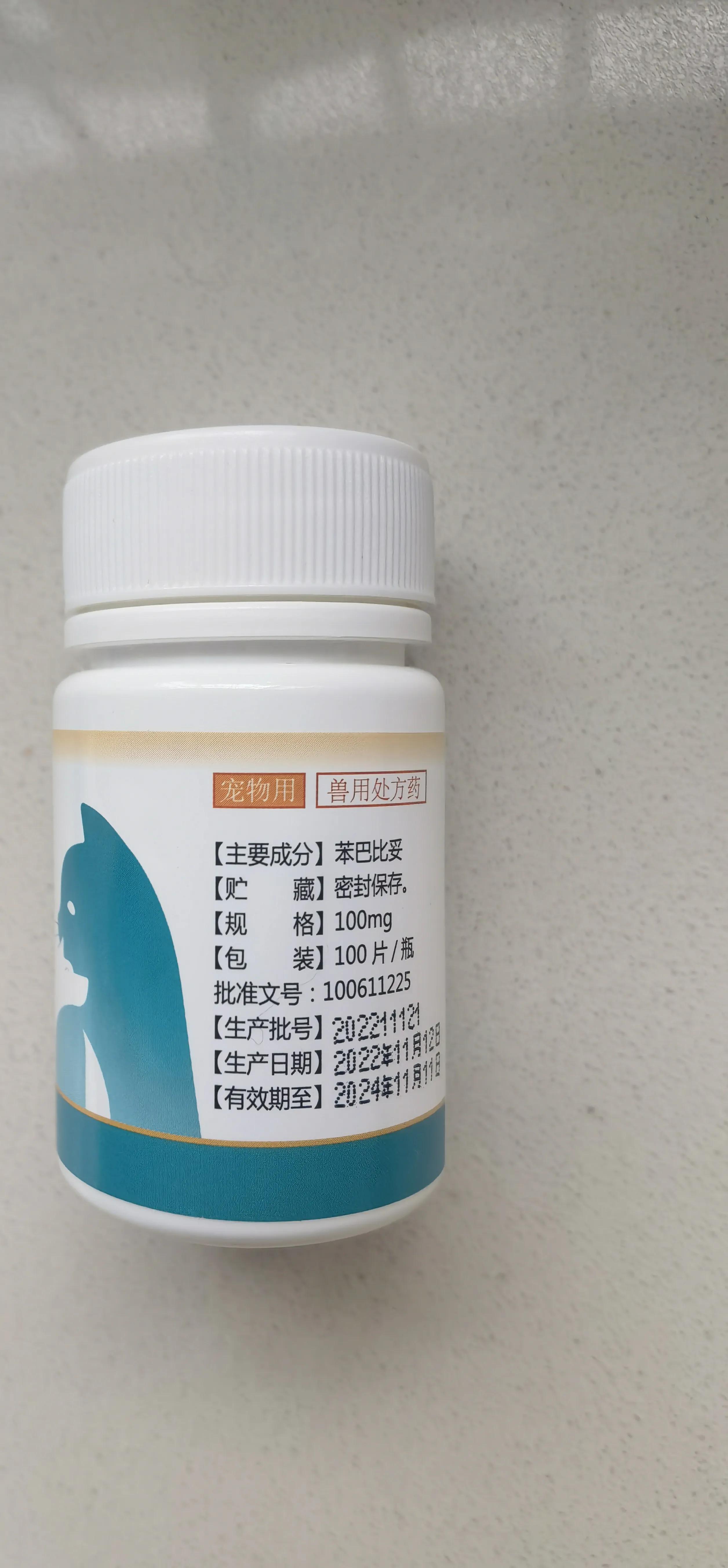 今天狗狗成成可能走到了生命尽头，已经两天不吃不喝了，却不悲伤