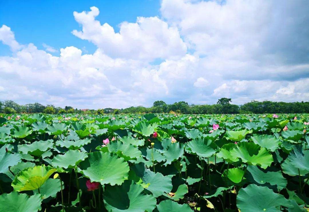 广东周边海边冷门渔村,广东十大冷门自驾游