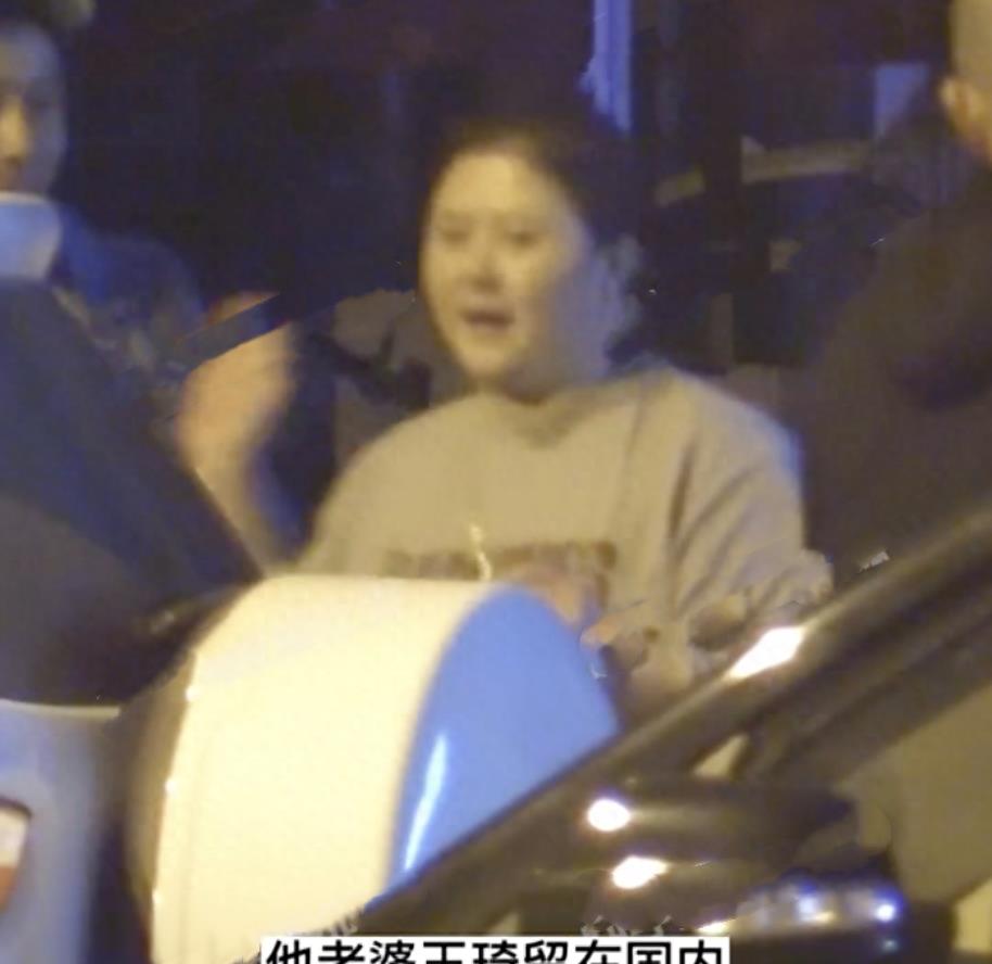 曝沈腾停工赴日本做康复,沈腾赴日本做康复治疗事件