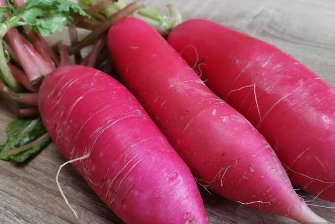 萝卜糠心的原因及解决方法,糠心的萝卜还能吃吗