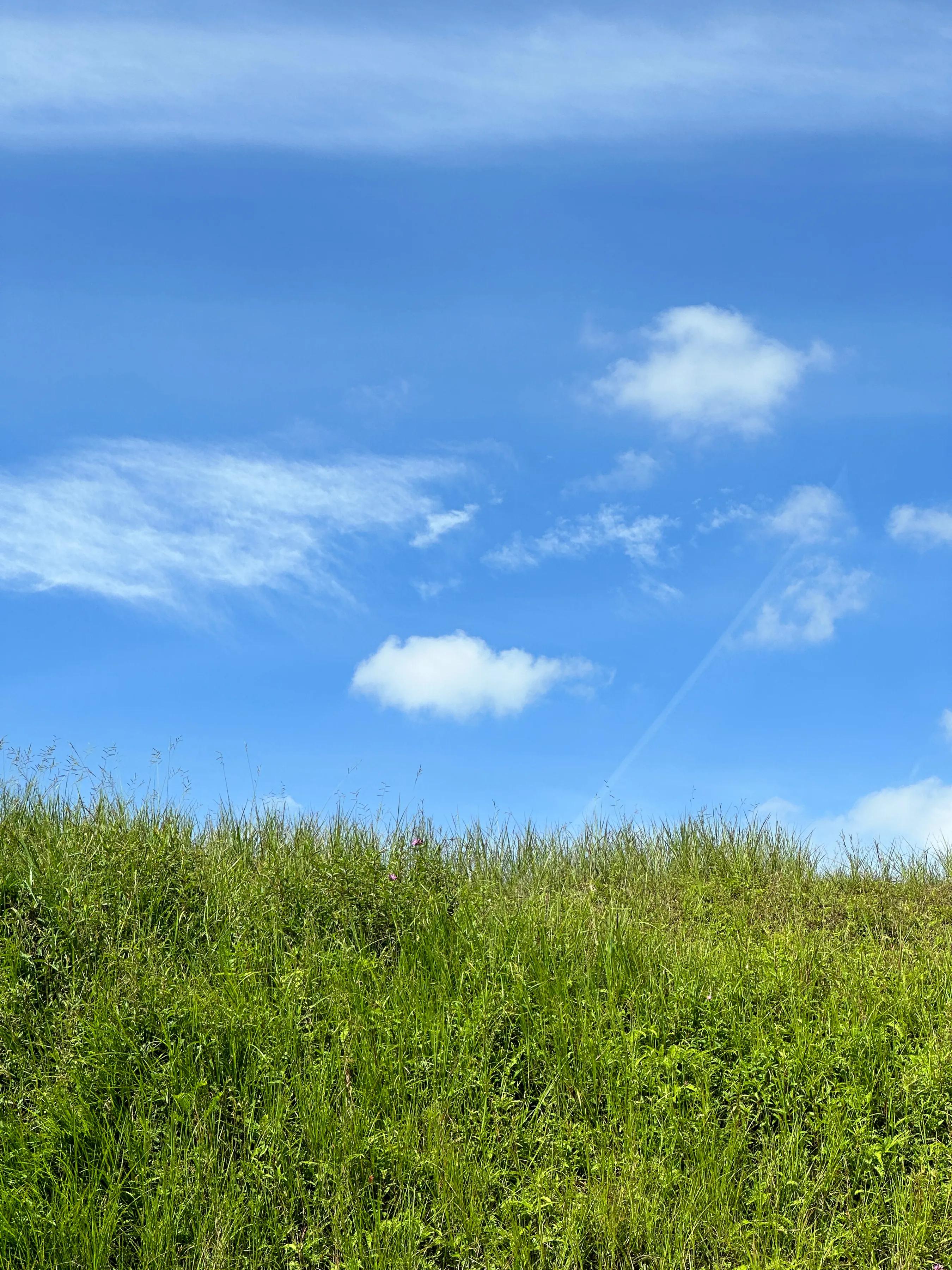 才知道吉隆坡行政中心“搬家”了，原因竟然是怕官员迟到，牛了