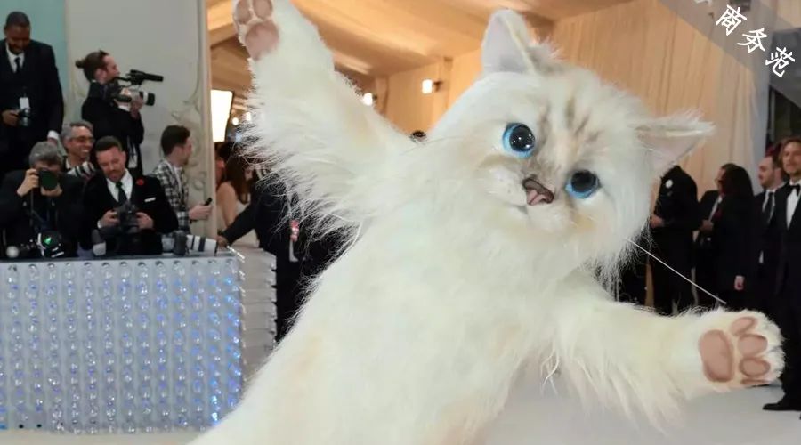 刘雯邓文迪,邓文迪杨紫琼