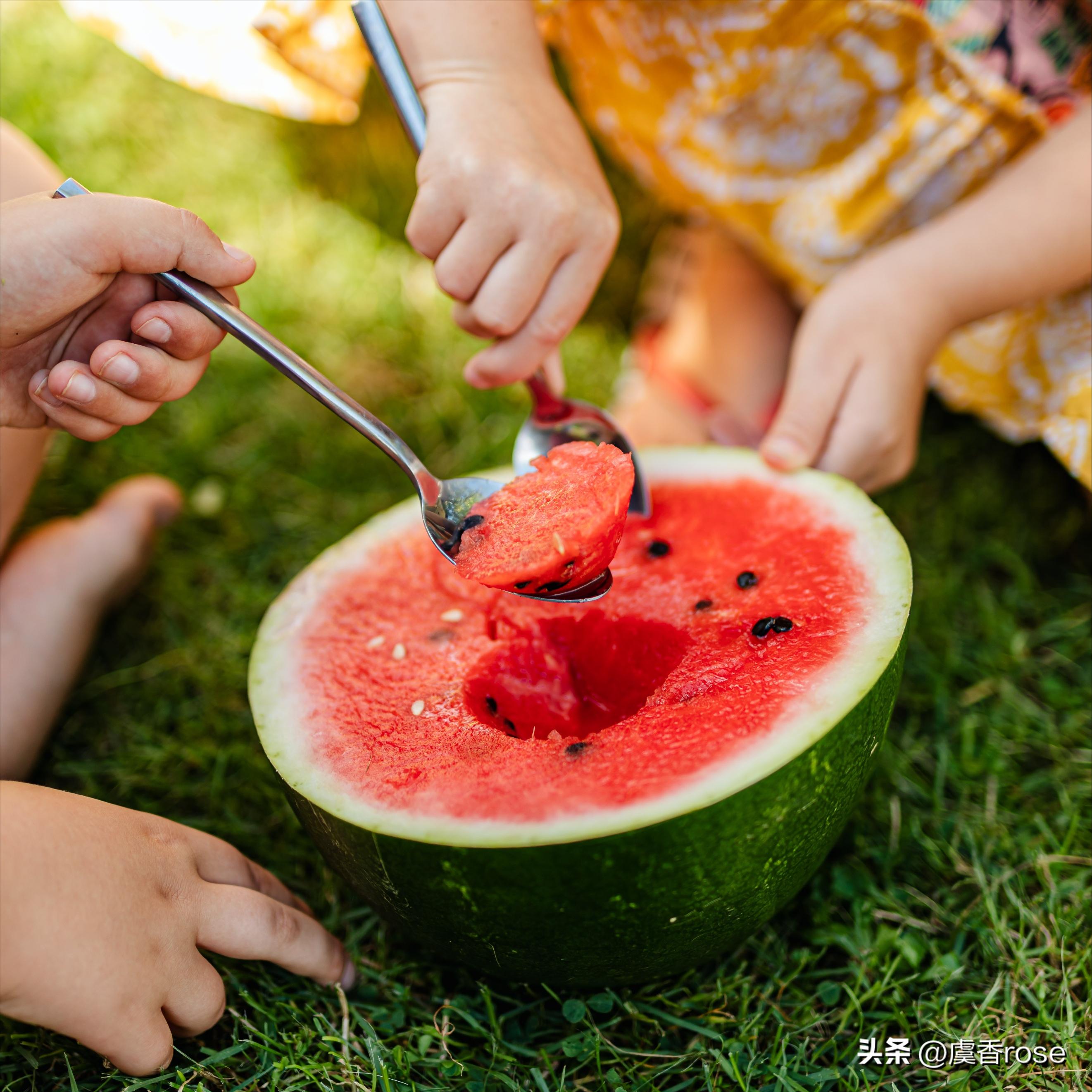 二十四节气中的夏至歌,完整的24节气歌夏至