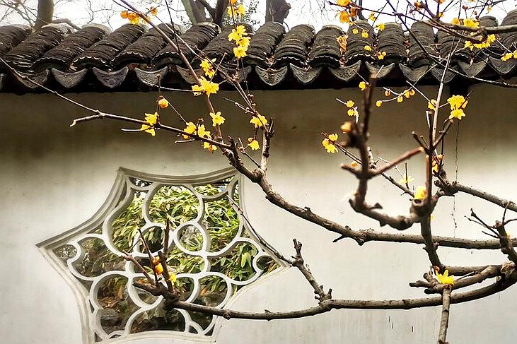 一次游完苏州4大园林攻略,逛苏州四大园林花费