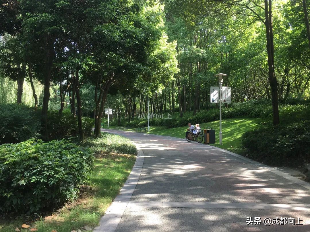 被吹爆的成都国际城南，居然没有拿得出手的体育场馆？