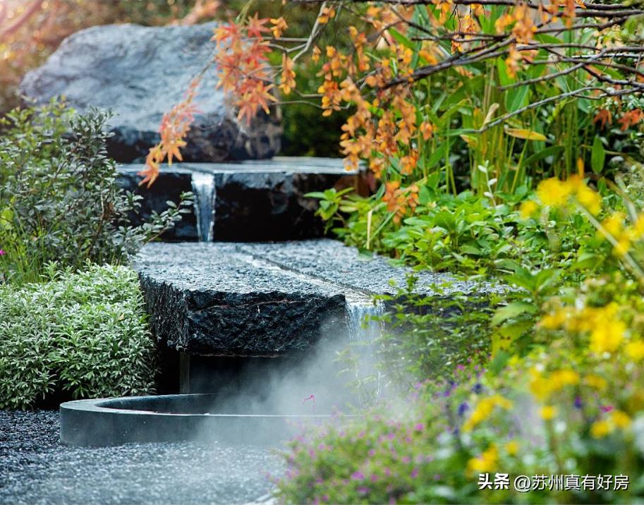 逢开必罄！中签率不超11%！实探神盘永旺西的真实面貌