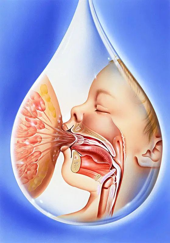 看小孩舌头知病情和解决方案,看孩子舌头可以判断出哪些病