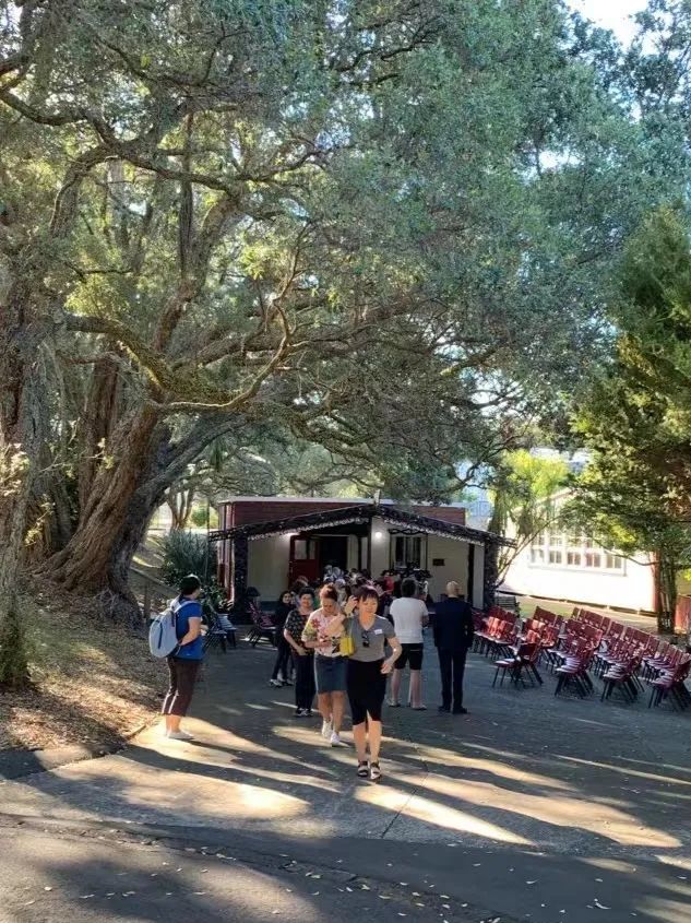 40宀佷互涓婄暀瀛︽柊瑗垮叞鎴愬姛,39宀佸幓鏂拌タ鍏扮暀瀛﹁繕鏈夋満浼氬悧