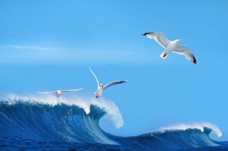 觉醒：内心世界的凤凰涅槃