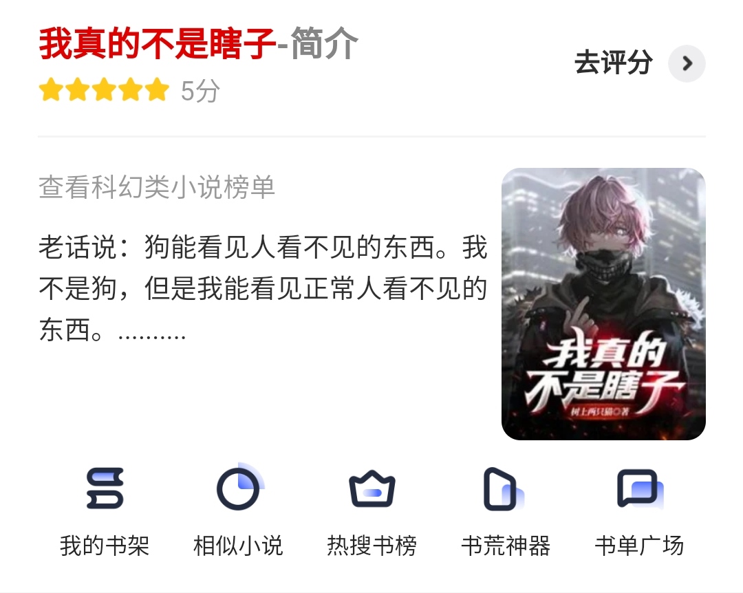 鐩楃増灏忚缃戠珯澶勭綒,鐩楃増灏忚缃戠珯琚皝