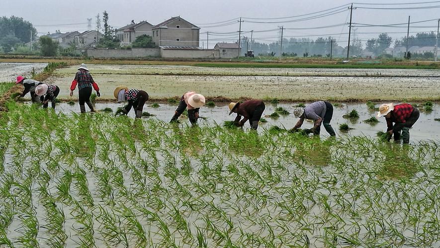 铁道兵战友聚会最好诗词,铁道兵战友诗二首