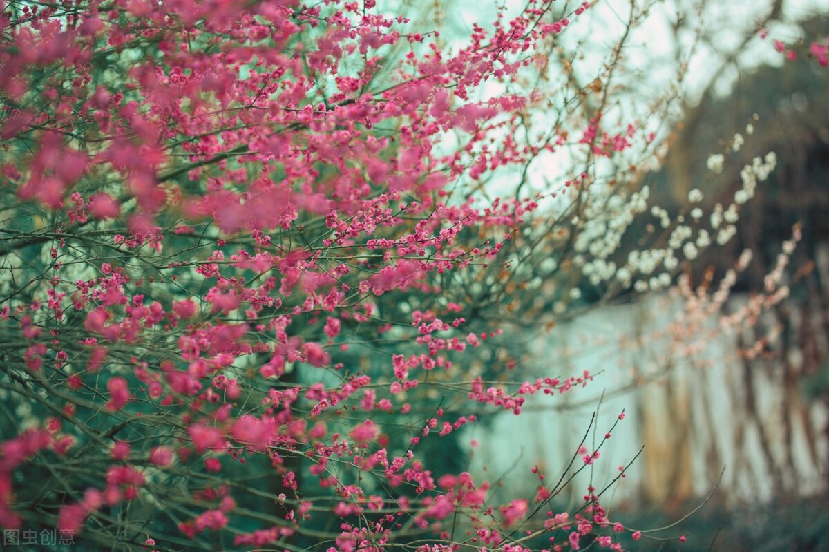 飞魔幻有约稿吗,胭脂痣长什么样