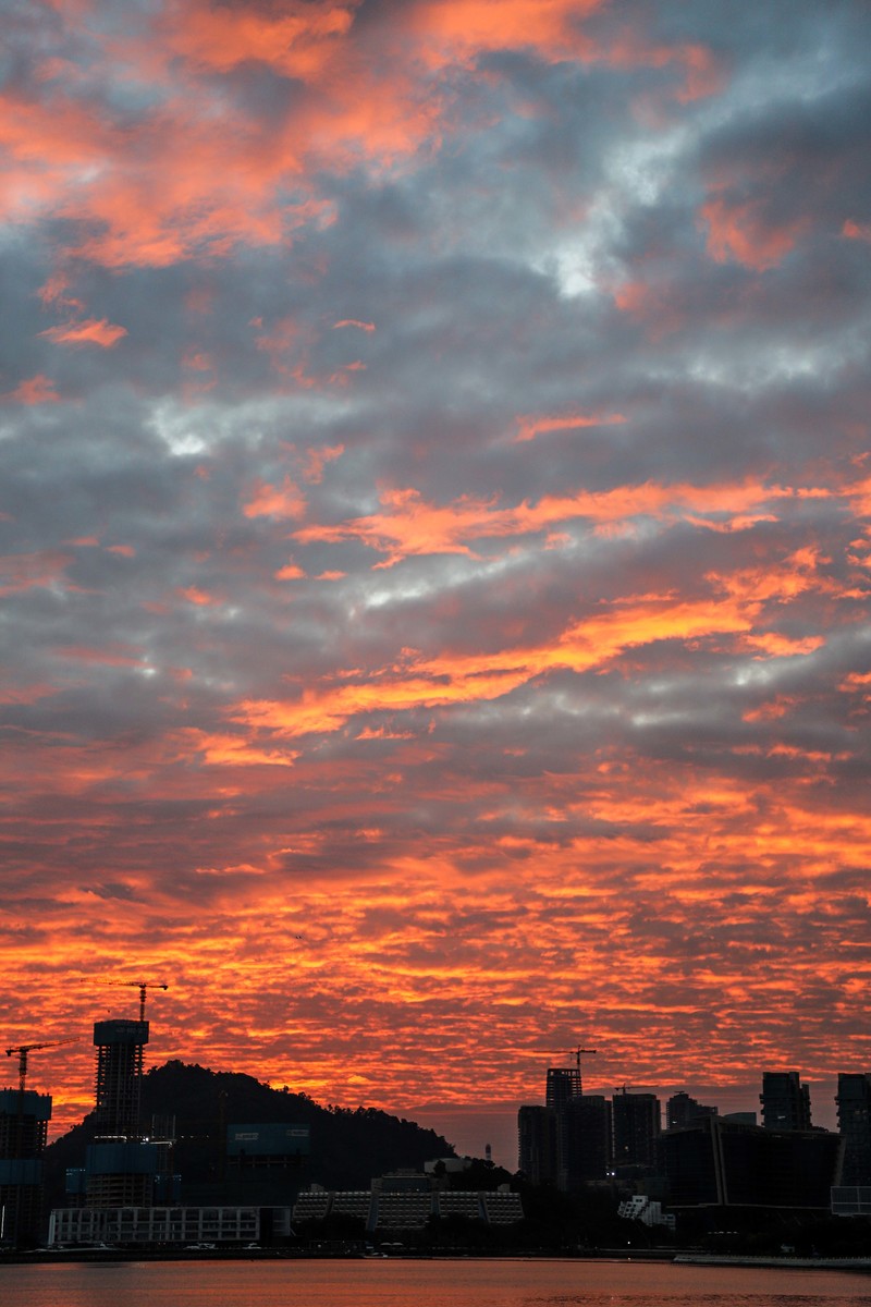 深圳市蛇口攻略,深圳海岛蛇口