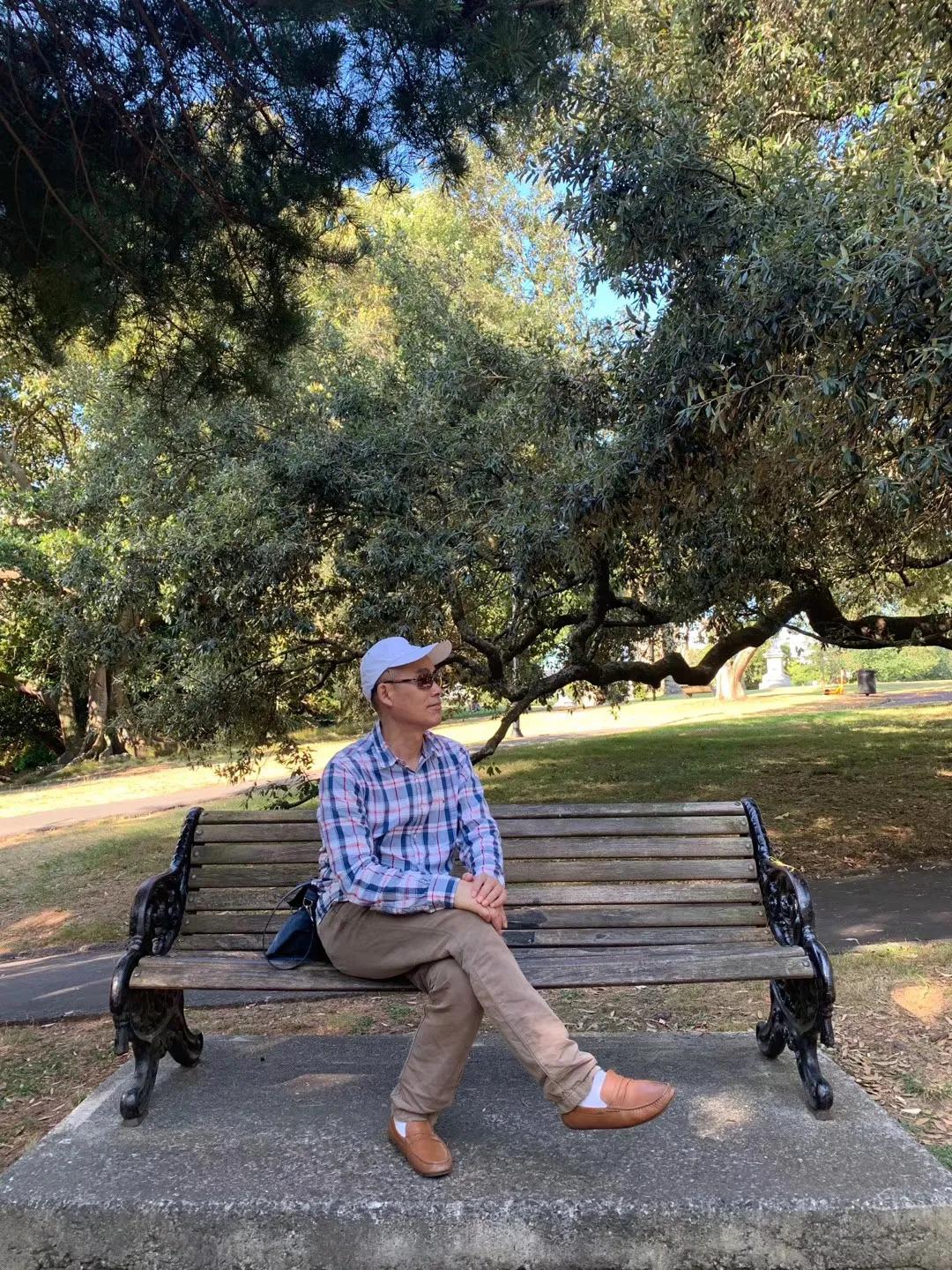 奥克兰自驾新西兰,新西兰奥克兰自驾风景