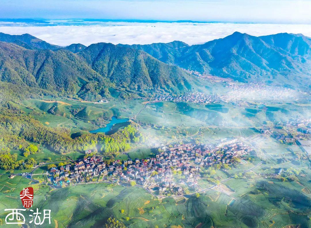 中国国际茶博会特色展览,国际茶博会永久会址