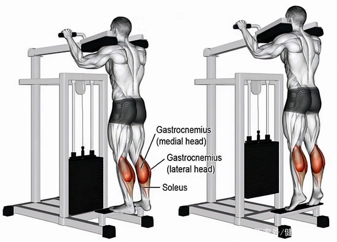 提高弹跳最有效的方法,提高弹跳力的手环
