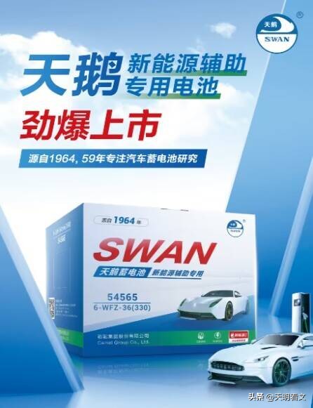 江苏省天鹅蓄电池,天鹅蓄电池原装正品