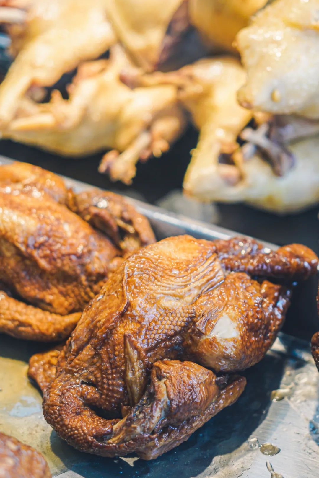 南京人的第一口奶---回到卫岗