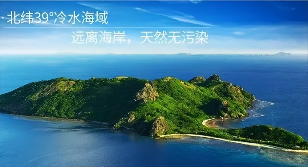 灞变笢娴峰弬鍜屽ぇ杩炴捣鍙傜殑鍖哄埆,濞佹捣娴峰弬鍜屽ぇ杩炴捣鍙傜殑鍖哄埆