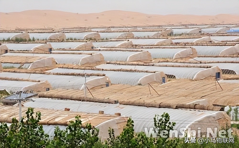 沙漠生态建设,沙漠防沙治沙综合治理示范区