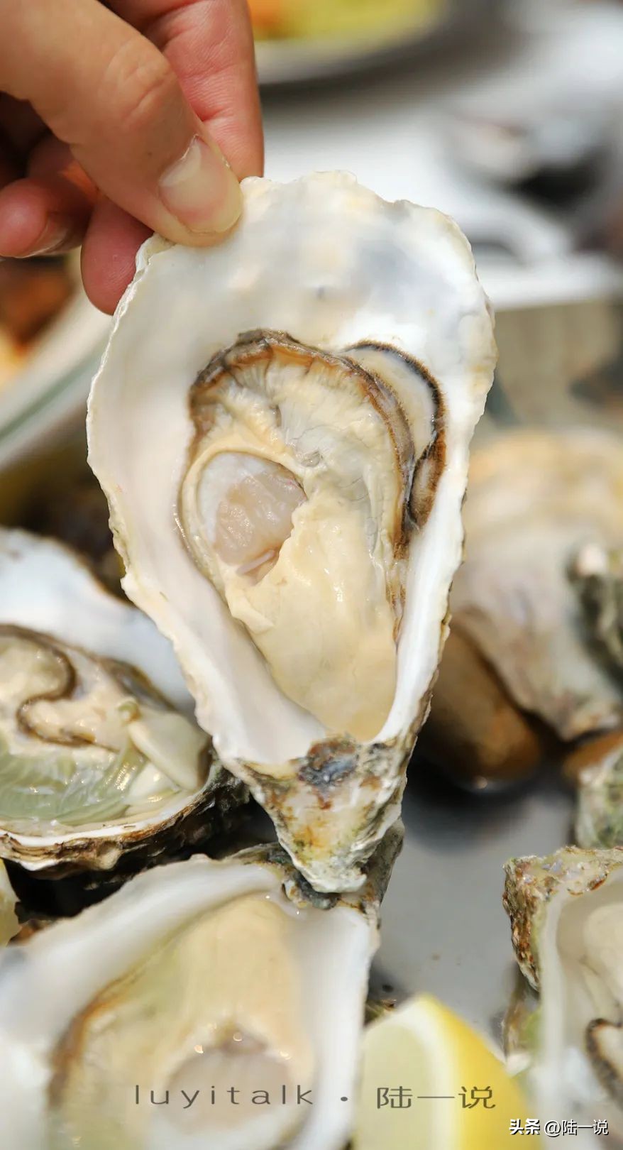 花3500元到牛排馆刷菜单,澳洲、美洲、欧洲,龙虾,蛏王,和牛