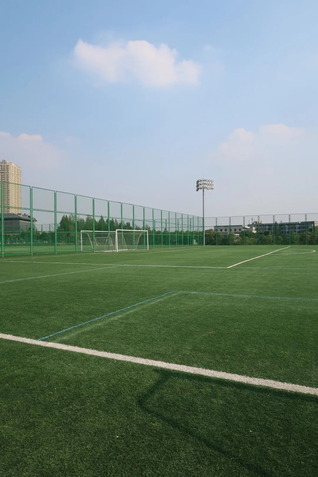 篮球羽毛球乒乓球综合馆,收藏性价比