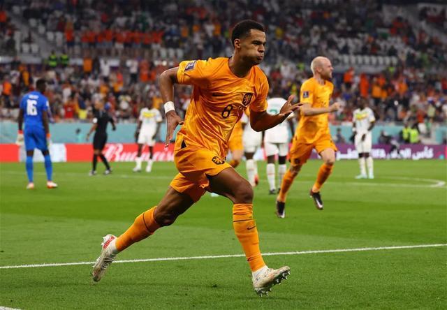 世界杯2场2球，多家豪门求购，23岁新星能成为荷兰锋线新希望？