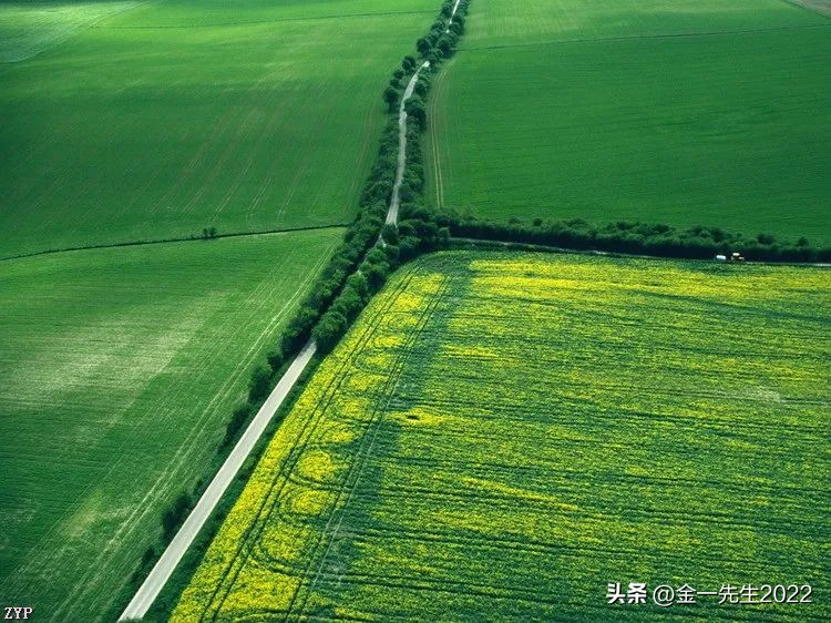 会计是什么梗,会计是什么样的职业