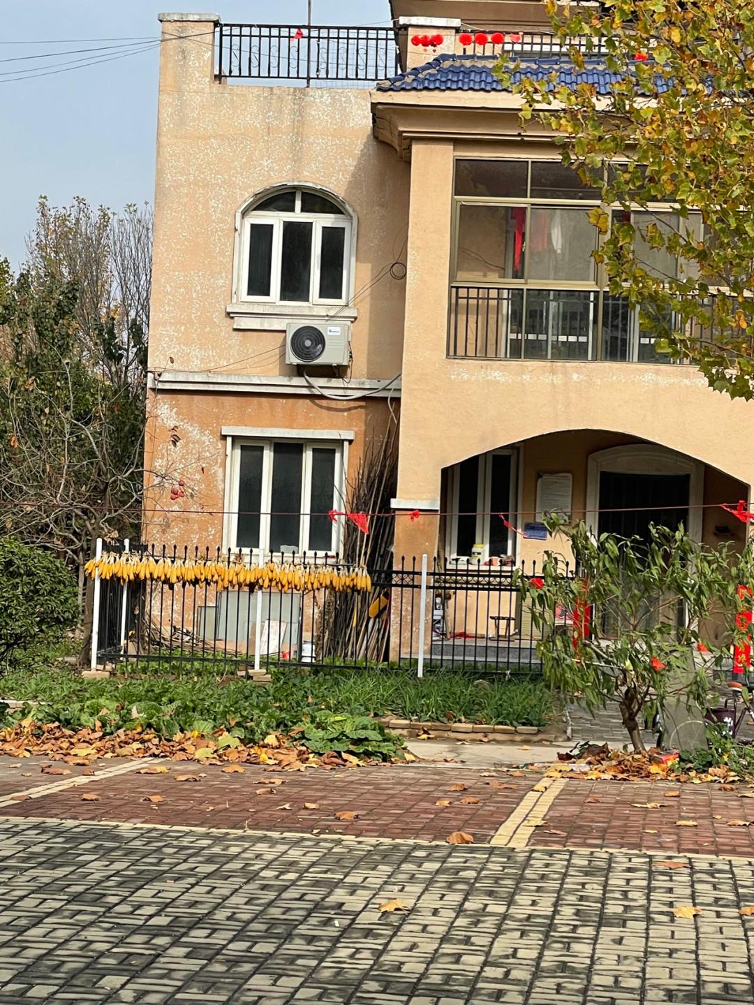 董董骑行山东,懂懂骑山东