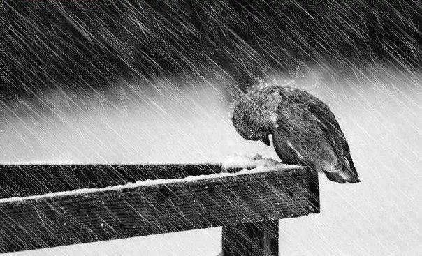 抑郁症自我心理疗愈,抑郁症心理治疗的基本过程