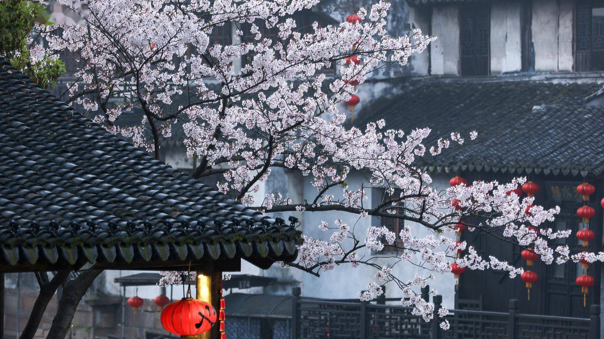 一天一首古诗词提升记忆力,古诗词枫桥夜泊快速记忆方法