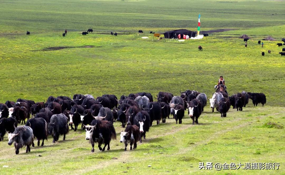 一日游甘南大环线攻略,甘南三日最美线路详细攻略