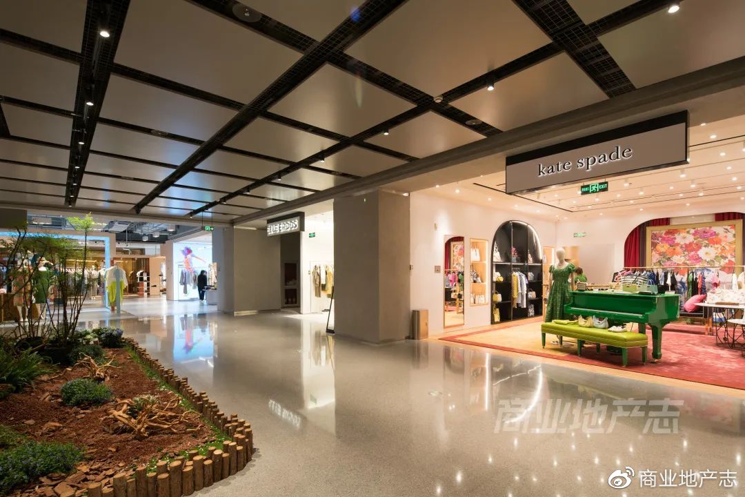 CRR速记|DT51，SKP的mini版？