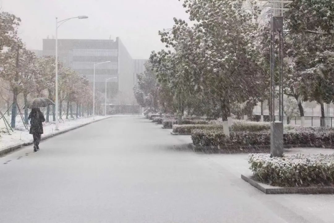 抑郁博士生,抑郁北大博士