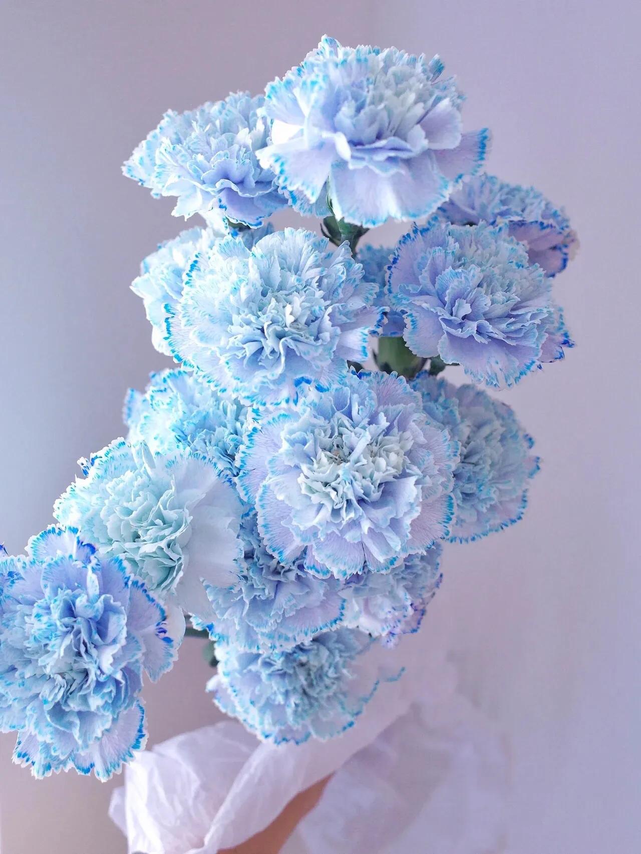 母亲节暖心文案给老婆,母亲节暖心文案