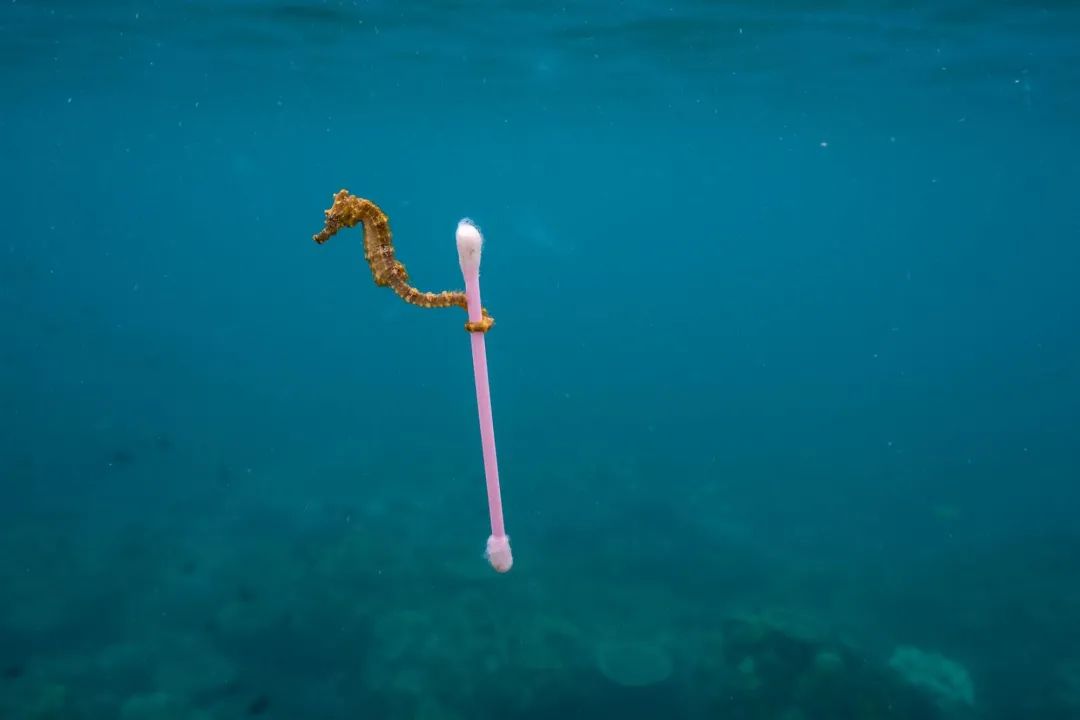 这个“垃圾大国”，真是让我开眼了