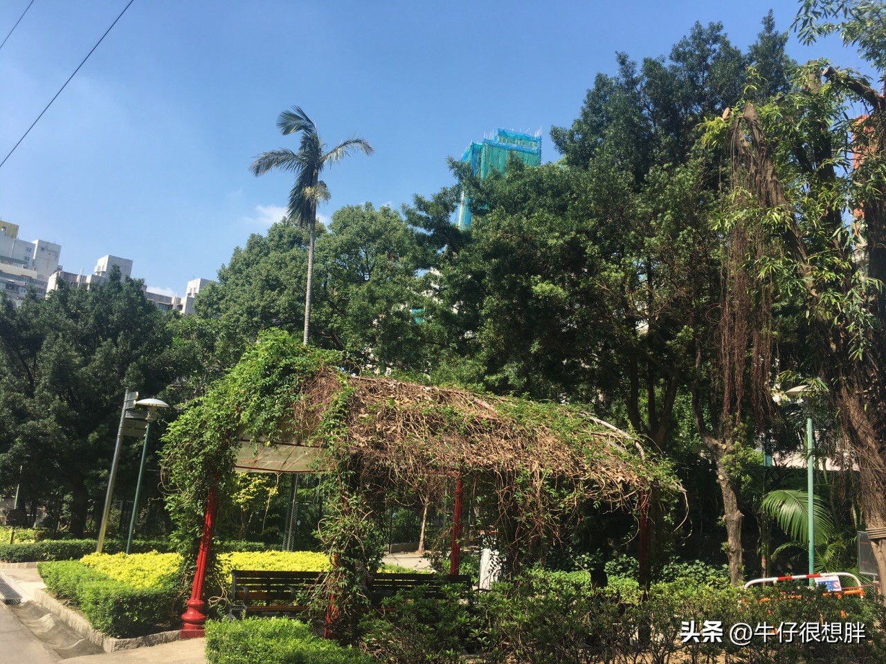 澳门遛娃5天自由行攻略,亲子游香港和澳门哪个更推荐