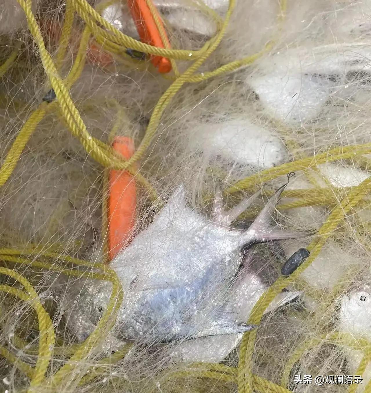 10道经典外卖菜,外卖十道必备菜