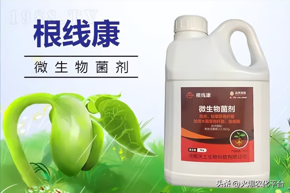 常见的杀线虫药剂有哪些,杀线虫的正确方法