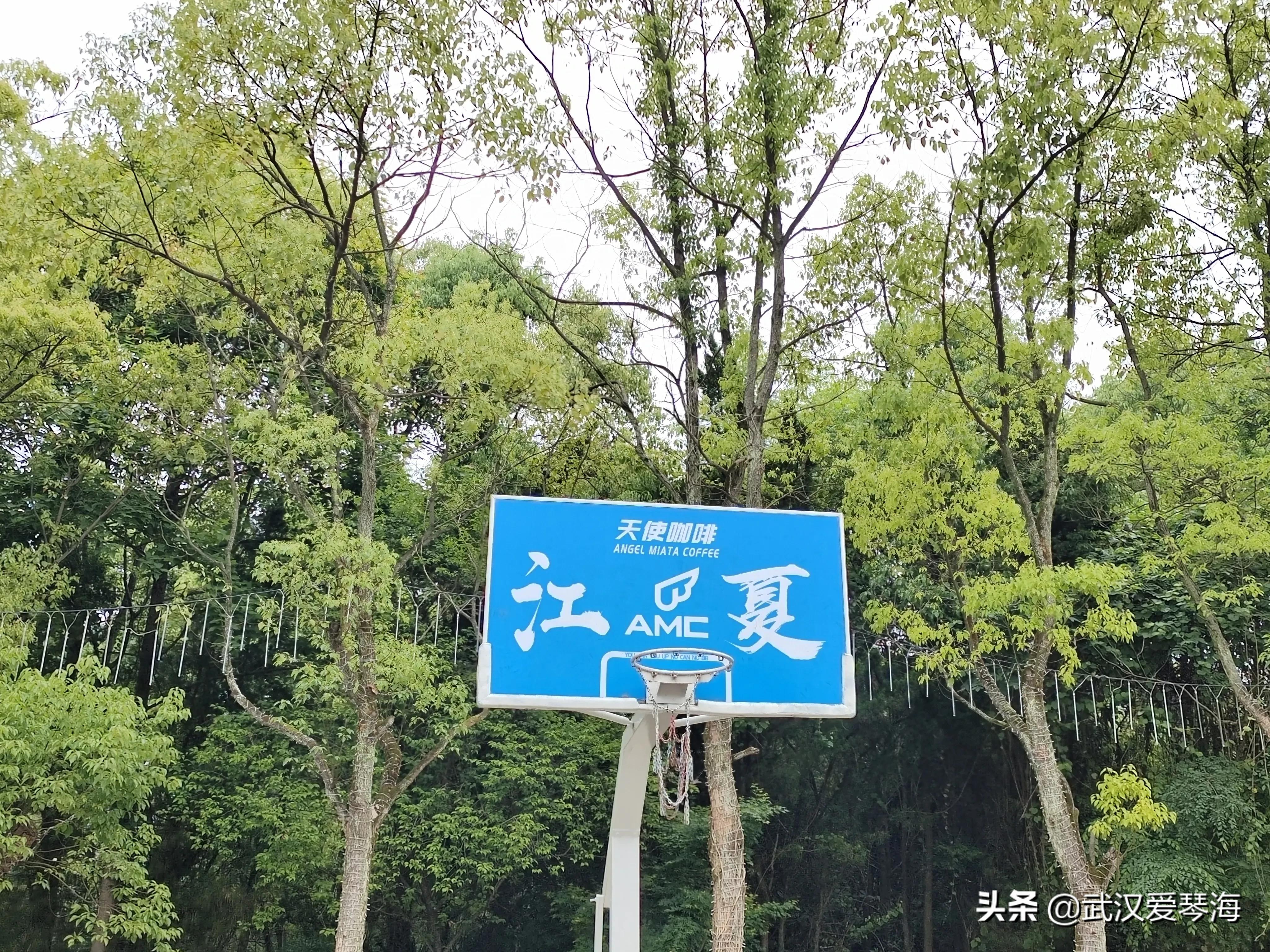 武汉青龙山爬山,武汉热门旅行线路青龙山穿八分山