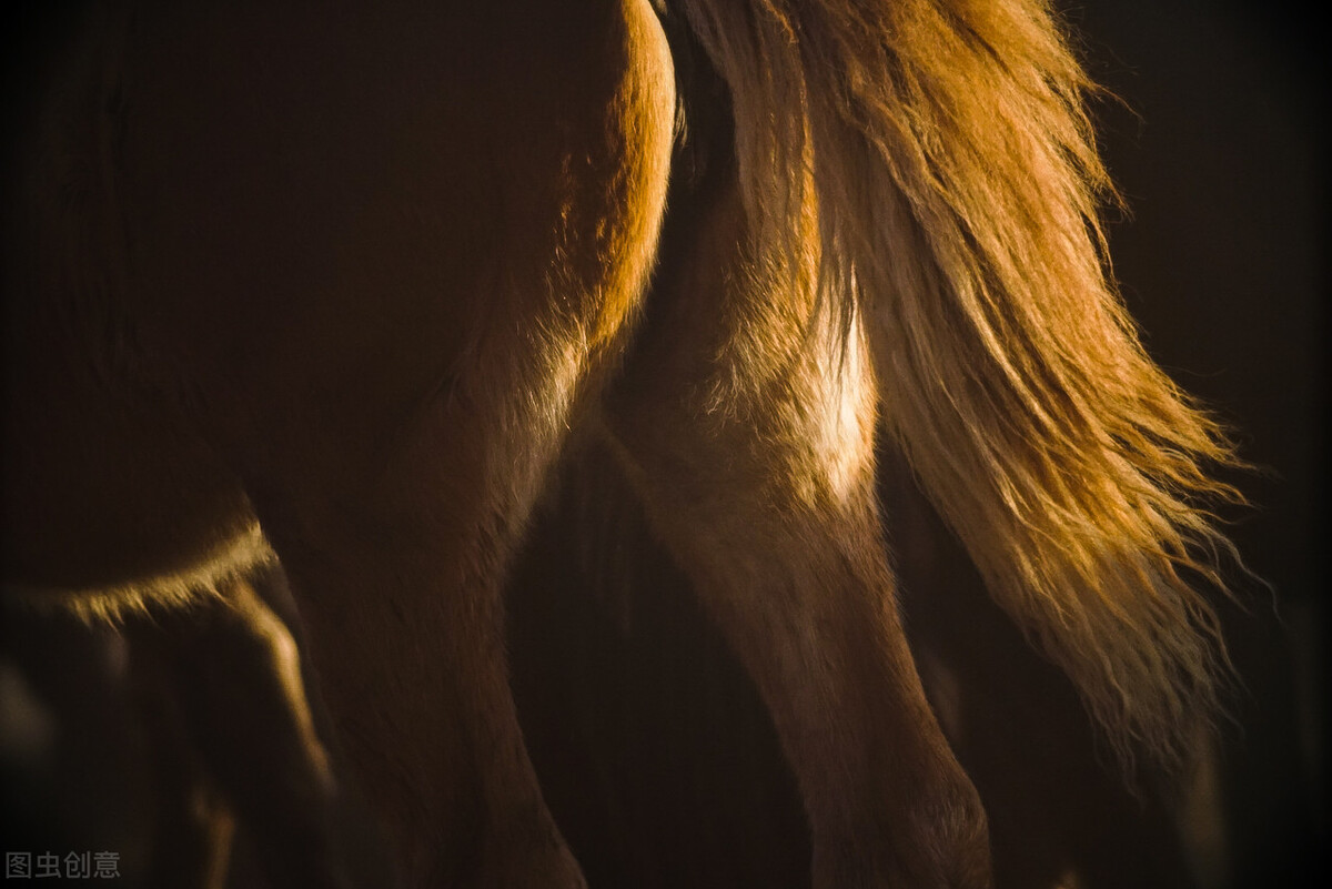 开窍之后明白了什么人生道理,开窍后你明白了人生什么道理