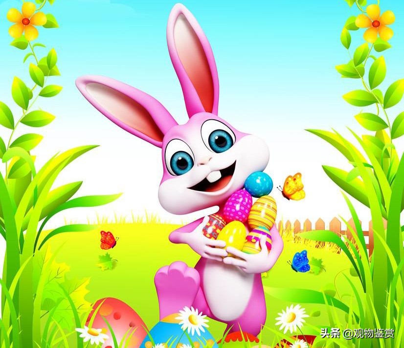 表现兔子很开心、怎么样地回到了森林