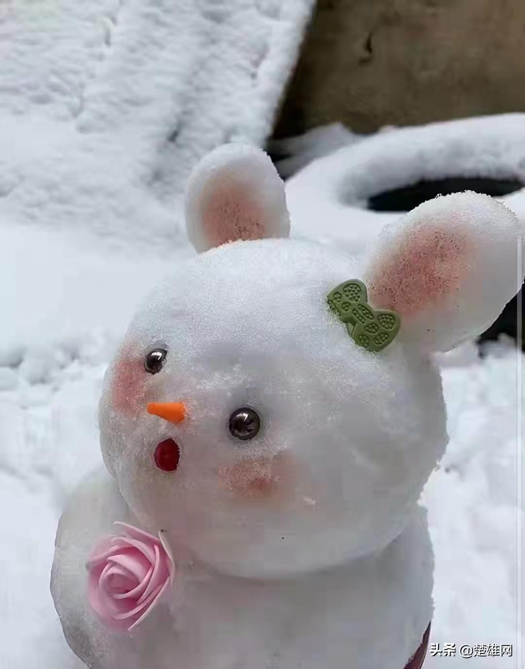 堆雪人大赛现场,楚雄花式雪人